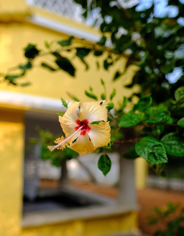 Parul - Elegant Heritage Home At The Heart Of Shantiniketan المظهر الخارجي الصورة