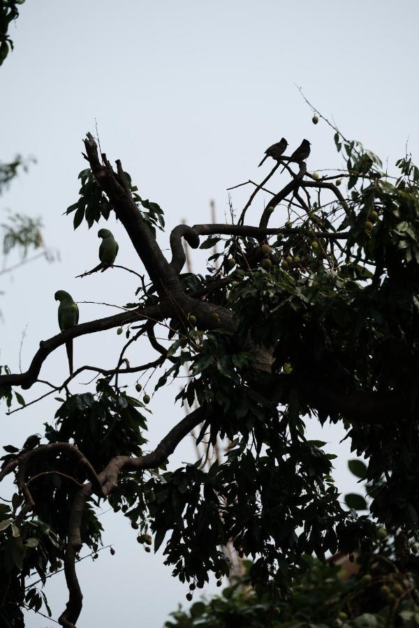 Parul - Elegant Heritage Home At The Heart Of Shantiniketan المظهر الخارجي الصورة